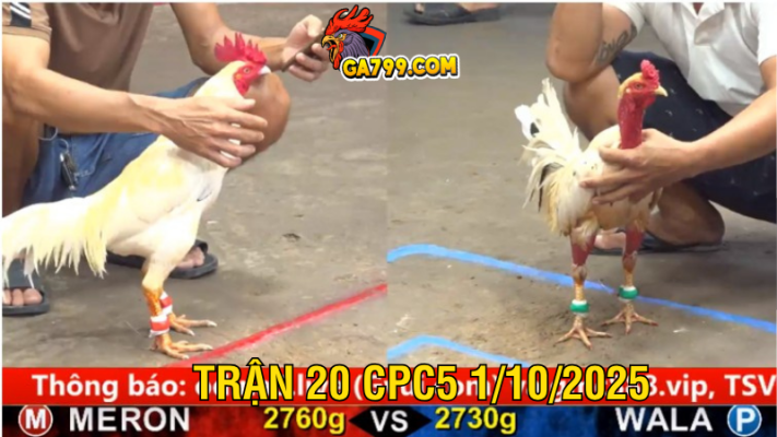 Trận 20 CPC5 1102025